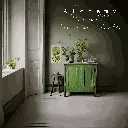 Moss Alchemy l'atelier d'ama.webp