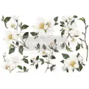Small decor transfer - White Magnolia
