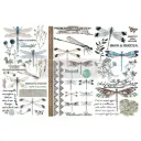 Small decor transfer - Spring Dragonfly